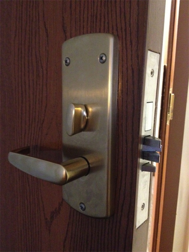 describe the image